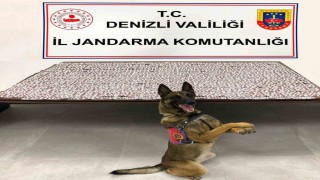 Denizlide jandarma uyuşturucu tacirlerine geçit vermiyor