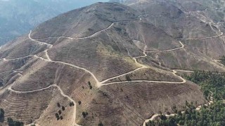 Denizlide yanan 4 bin 108 hektar orman sahasında 2,5 milyon fidan yeşerecek