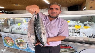 Deprem sonrası Kahramanmaraştan 54 ülkeye balık ihracatı