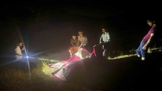 Derecikte dağda rahatsızlanan inek, halı içerisinde 1 kilometre taşındı