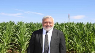 Dicle Elektrik Genel Müdürü Arvas: Bölgede sorun elektrik değil, sulama