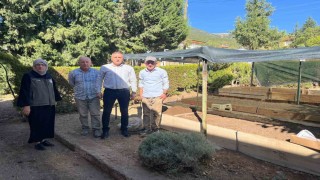 Dinarda sezonun ilk salep ekimi yapıldı