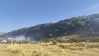 Diyarbakırda anız yangını ormanlık alana sıçradı