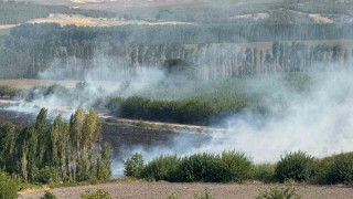 Diyarbakırda Hevsel Bahçelerindeki mısır tarlasında anız yangını