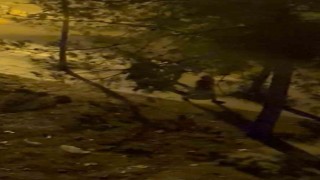 Diyarbakırda husumetlilerin kavgasında kan aktı, olayla ilgisi olmayan bir kişi hayatını kaybetti