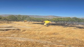 Diyarbakırda orman ve örtü yangını