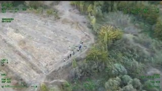 Diyarbakırda piyasa değeri 1 milyar lira olan 12 bin 865 kök kenevir ele geçirildi