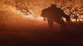 Diyarbakırdaki orman yangını söndürüldü