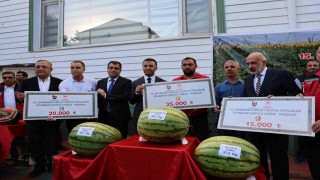 Diyarbakırın en büyük karpuzları seçildi