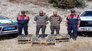 DKMP ekipleri izinsiz yakalanan şaka kuşu ele geçirdi