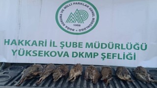 DKMP ekipleri kaçak keklik avlayan şahsa cezai işlem uyguladı
