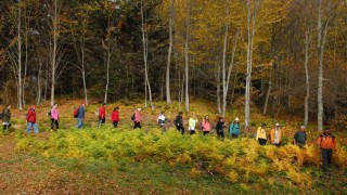 Doğa tutkunları yürüyüşlere başlıyor