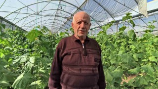 Doğu Anadolunun en büyük serasında üretim aralıksız sürüyor