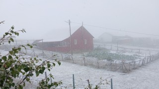 Doğu Karadenizin sahili ve iç kesimlerindeki şiddetli yağış yerini zirvelerde kara bıraktı