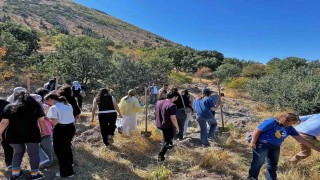 Dünya Eczacılar Gününde Ali Dağına Yeşil Nefes