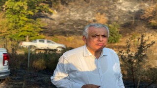 Düzce Vali Vekili Cinbir: Orman yangını kontrol altına alınmak üzere