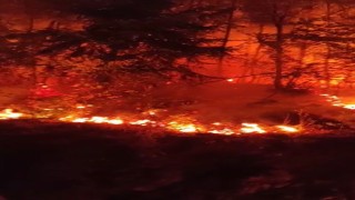 Düzcede bir bölgede daha orman yangını çıktı