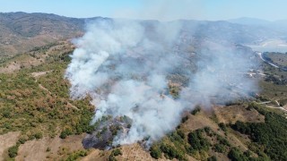Düzcede orman yangını