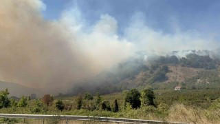 Düzcede orman yangını 5. saatinde