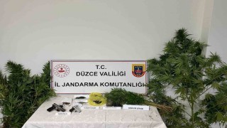 Düzcede uyuşturucu operasyonunda 1 tutuklama