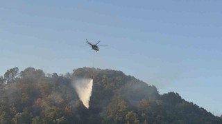 Düzcedeki orman yangını kısmen kontrol altına alındı