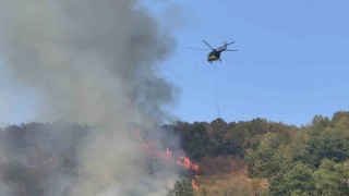 Düzcedeki orman yangınına helikopter ve 20 araçla müdahale sürüyor