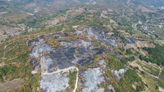 Düzcedeki yangının boyutu havadan görüntülendi