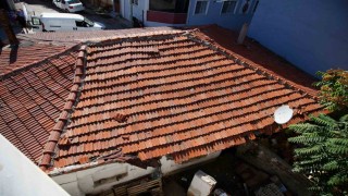 Edirnede mahallede fare paniği