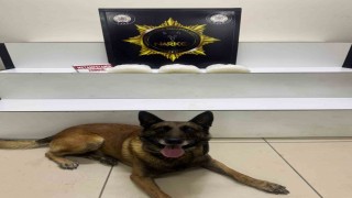 Edremitte uyuşturucu operasyonu