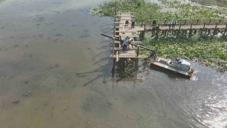 Efteni Gölü ahşap iskelesi yenileniyor