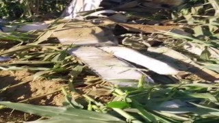 Eğitim amaçlı havalanan bir helikopter, İzmirin Torbalı ilçesine bağlı Kırbaş Mahallesinde mısır tarlasına düştü. Olayda 1 pilot hayatını kaybetti.