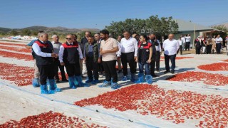 Elazığda 100 bin 352 ton domates rekoltesi bekleniyor