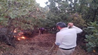 Elazığda ağaçlık alanda yangın