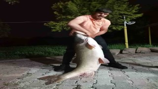Elazığda baba-oğul 75 kiloluk dev turna balığı yakaladı