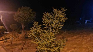 Elazığda kuvvetli rüzgar etkisini sürdürüyor