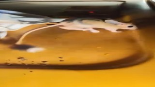 Elazığda nesli tükenmekte olan Arap tavşanı görüldü