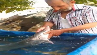 Elazığda oltaya takıldı, havyarı 2 milyon lira