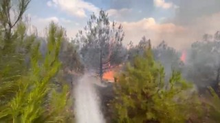 Elazığda ormanlık alanda yangın