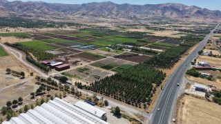 Elazığda üretilen milyonlarca fidan, ülkeye nefes oluyor