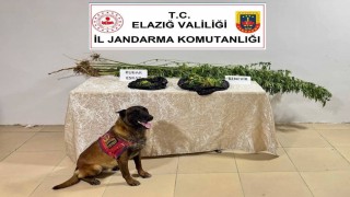 Elazığda uyuşturucuyla mücadele