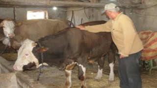 Emekli olan elektrik mühendisi huzuru köyde buldu