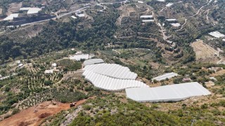 Engebeli arazide tropikal meyve başarısı: 104 dönümlük serada 20den fazla çeşit meyve yetiştiriliyor