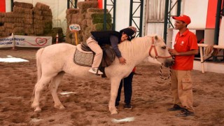 Engellilere atla terapi desteği