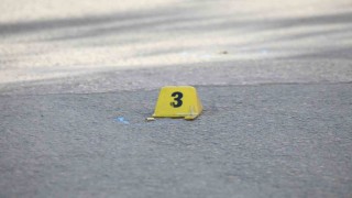 Ercişte iki kardeşe silahlı saldırı: 1 ölü, 1 yaralı