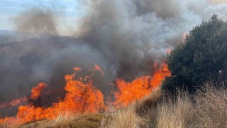 Erdekte 100 dönümlük alanda yangın