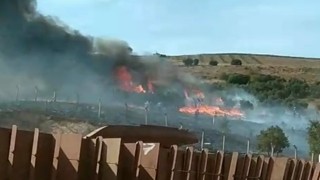 Erdekte otluk ve ağaçlık alanda yangın