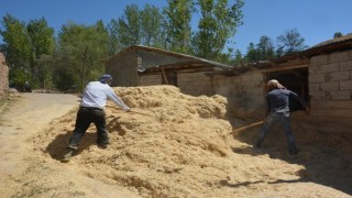Erzincanda çiftçinin kış hazırlığı sürüyor