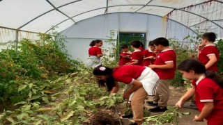 Erzincanda öğrenciler serada kış sebzelerinin ekimine başladı