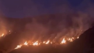 Erzincanda örtü yangını ormana sirayet etmeden kontrol altına alındı