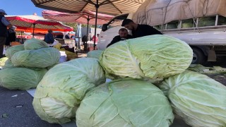 Erzincanda turşuluk ve yemeklik lahanalar tezgahta yerini aldı